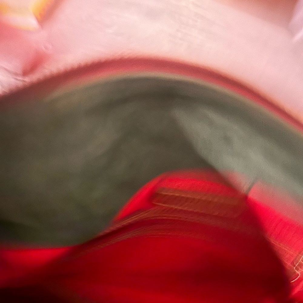 Dooney & Bourke Brown Florentine Python Snake Pri… - image 9